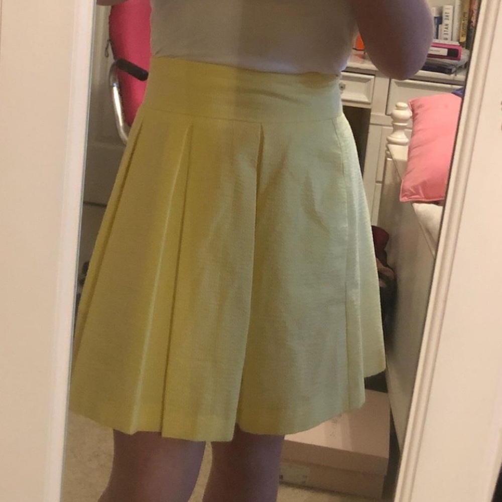 Lauren James Pleated Skirt